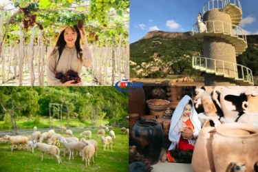 Ngày 02 Bình Hưng - Đồi Cừu - Vườn Nho Ninh Thuận - TP.HCM