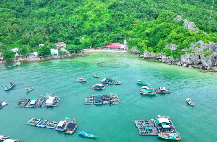 Tour Đảo Hòn Nghệ Kiên Giang 2 Ngày 1 Đêm - Thưởng Thức BBQ Hải Sản