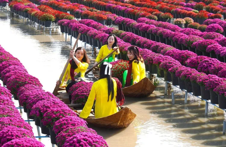 Tour Làng Hoa Sa Đéc - KDL Gáo Giồng - Chùa Lá Sen - Vườn Quýt Hồng