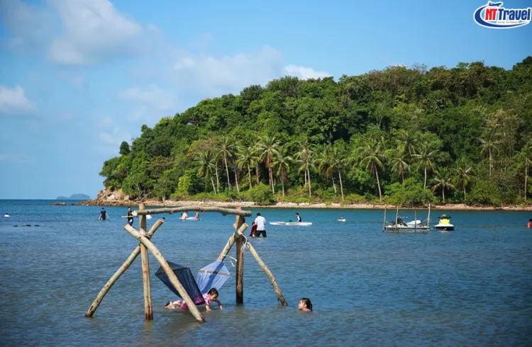 Tour Đảo Bà Lụa Rừng Tràm Trà Sư 2 ngày 2 đêm