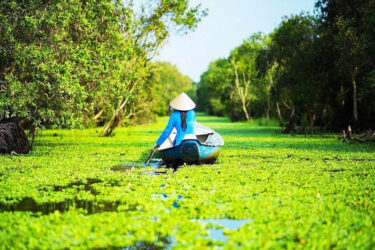 Tour Lễ 02/9 - Tour Đảo Bà Lụa - Rừng Trà Sư Mùa Nước Nổi - Check-in Cầu Tre Ảo Diệu 2N2Đ