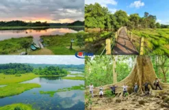 Ngày 01: TP.HCM – VQG Nan Cát Tiên – Orchard Home Resort (Ăn sáng, trưa, tối)