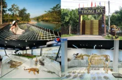 Ngày 02 Bảo Tàng Thiên Nhiên – Vườn Cacao – TP. HCM (Ăn sáng, trưa tối)