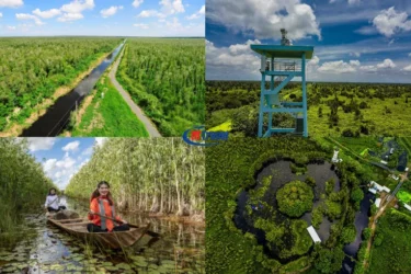 Ngày 02 Vườn Quốc Gia U Minh Hạ – Cần Thơ (Ăn sáng, trưa)