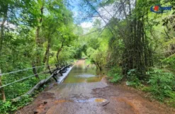 Tour Rừng Nam Cát Tiên 2 Ngày 1 Đêm | Check-in Orchard Resort – Hồ Bơi Vô Cực