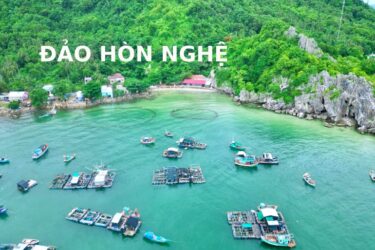 Tour Đảo Hòn Nghệ - Lặn Ngắm San Hô - BBQ Hải Sản - 02 ngày 02 đêm