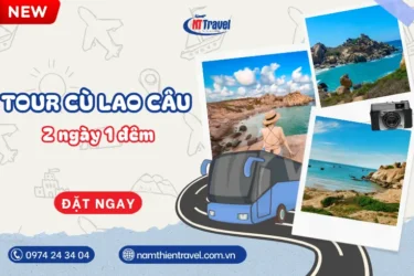 Tour Cù Lao Câu 2 Ngày 1 Đêm Lặn Nhắm San Hô - Đồi Cừu An Hòa - Trọn Gói Tất Tần Tật Không Phát Sinh
