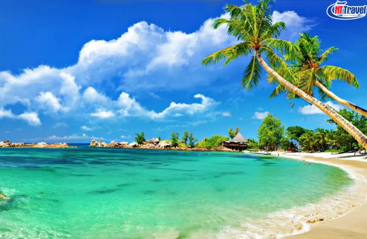 Tour Đảo Nam Du 2 Ngày 2 Đêm - Lặn Ngắm San Hô - BBQ Hải Sản Cao Cấp