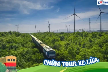 Tour Du Lịch Quy Nhơn Măng Đen 4 Ngày 4 Đêm | Bằng Tàu Lửa