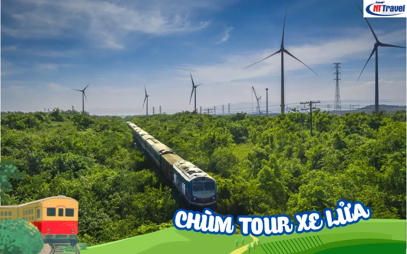 Lịch Trình Đón Khách Tour Quy Nhơn Măng Đen Bằng Tàu Lửa