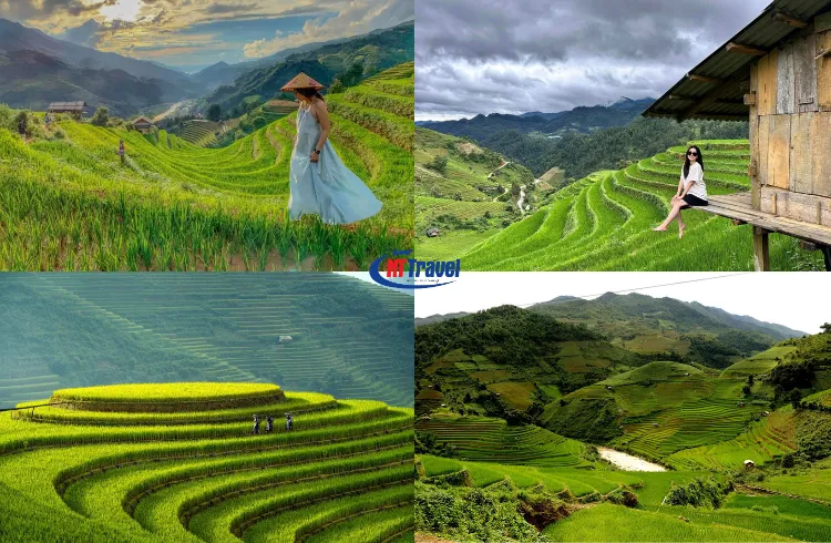 Ngày 02 Mù Cang Chải – Sapa (Ăn Sáng, Trưa, Tối)