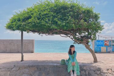 Land Tour | Du Lịch Đảo Phú Quý 3 Ngày 2 Đêm - Thiên Đường Biển Đảo Bình Thuận