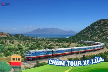 Tour Du Lịch Quy Nhơn Phú Yên Bằng Tàu Lửa 3 Ngày 4 Đêm