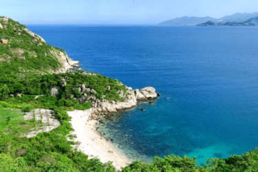 Tour Đảo Bình Ba - Ngắm San Hô - Vườn Nho - Đồi Cừu Suối Tiên - 2N2Đ
