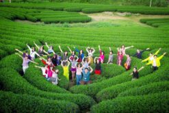 Tour Sapa - Điện Biên - Sơn La - Mộc Châu - 4N3Đ