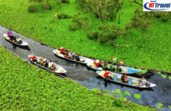 Rừng tràm Trà Sư