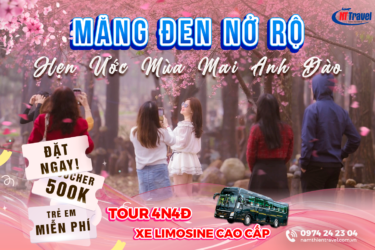 Tour Du Lịch Tây Nguyên 4 Ngày 4 Đêm