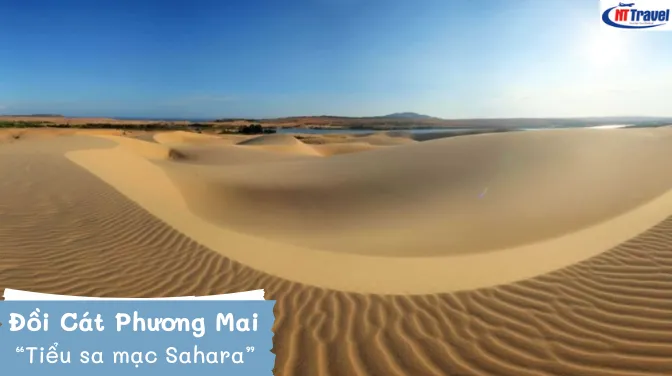 Chinh Phục Đồi Cát Phương Mai “Tiểu Sa Mạc Sahara” Tại Quy Nhơn
