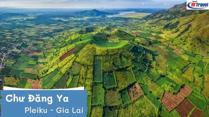 Vì Sao Núi Lửa Chư Đăng Ya Được Gọi Là “Thiên Đường Vàng” Mùa Cuối Năm