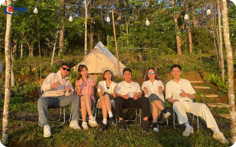 Cắm Trại Và Picnic Giữa Rừng