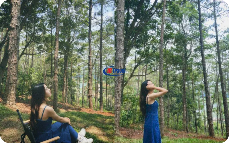 Chụp Ảnh “Nàng Thơ” Giữa Nền Xanh Trữ Tình