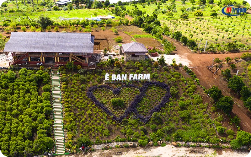 Ê Ban Farm