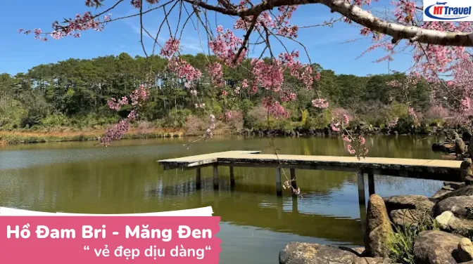 Hồ Đam Bri - Nơi Thư Giãn Đầy Dịu Dàng Giữa Lòng Măng Đen
