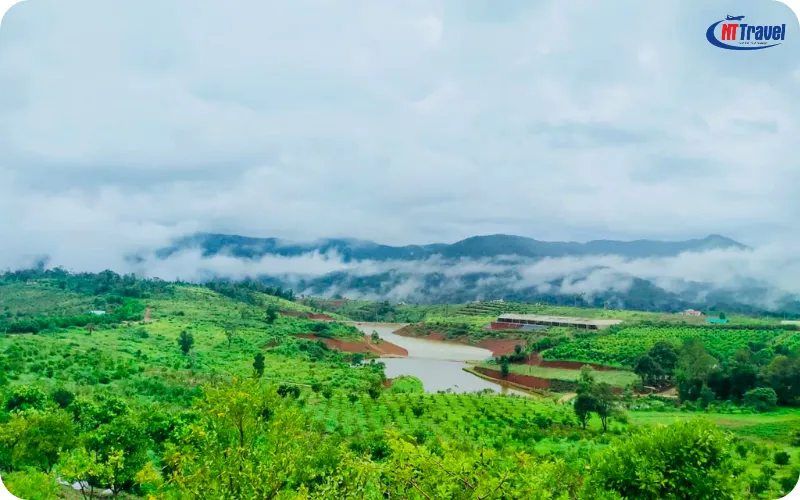 Orfarm Măng Đen