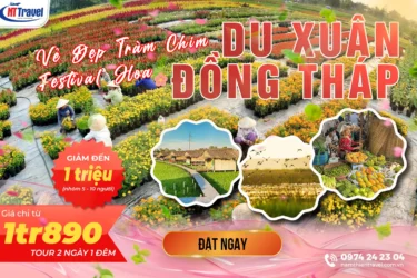 Tour Du Lịch Đồng Tháp 2 ngày 1 đêm