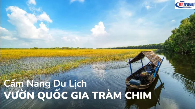 Cẩm Nang Du Lịch Vườn Quốc Gia Tràm Chim Đồng Tháp 2025 | Đi Đâu, Ăn Gì, Ở Đâu?