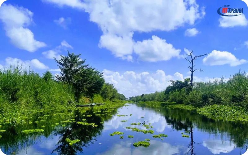 Rừng U Minh Thượng