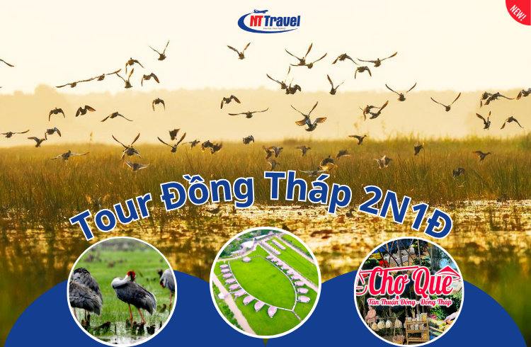 Tour Du Lịch Đồng Tháp 2 Ngày 1 Đêm Tham Quan Vườn Quốc Gia Tràm Chim - Khu Du Lịch Mỹ Phước Thành