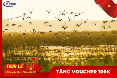 Tour Lễ 2/9 | Du Lịch Đồng Tháp 2 Ngày 1 Đêm | Tham Quan Vườn Quốc Gia Tràm Chim - KDL Mỹ Phước Thành