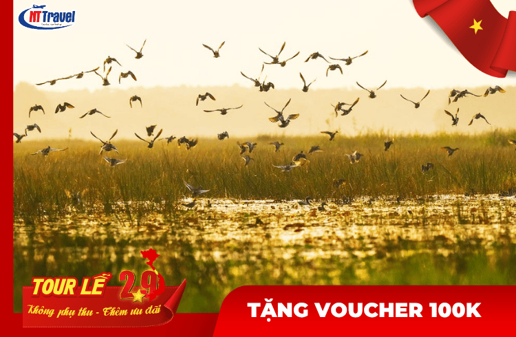 Tour Lễ 2/9 | Du Lịch Đồng Tháp 2 Ngày 1 Đêm | Tham Quan Vườn Quốc Gia Tràm Chim - KDL Mỹ Phước Thành