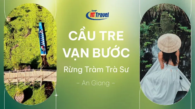Cầu Tre Vạn Bước – Xuyên Rừng Tràm Trà Sư An Giang “Cầu Tre Dài Nhất Việt Nam”