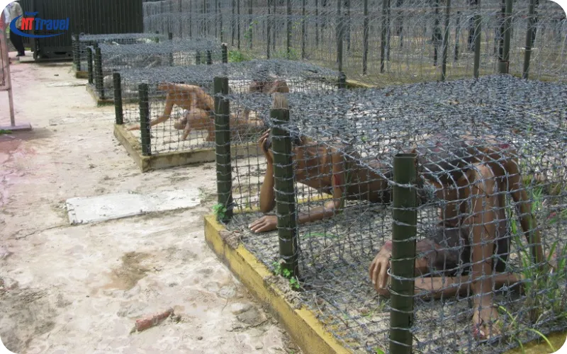 Chứng Kiến Tội Ác Thực Dân Pháp