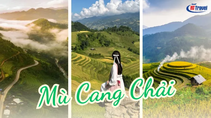 Mù Cang Chải Mùa Lúa Chín - Chia Sẻ Kinh Nghiệm Đi Mù Cang Chải Để Không Bỏ Lỡ Khoảng Khắc Vàng