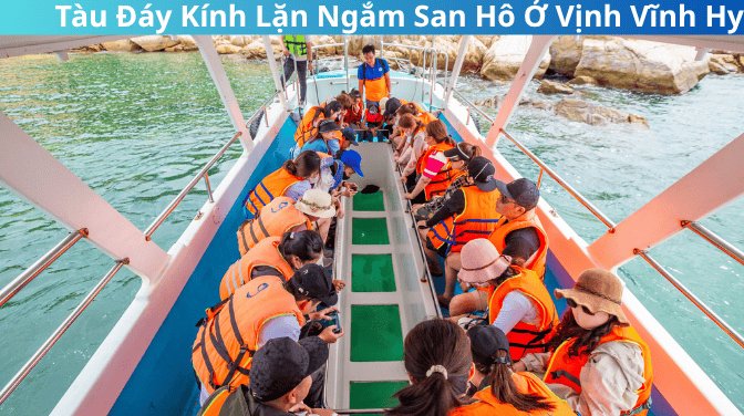 Trải Nghiệm Tàu Đáy Kính Lặn Ngắm San Hô Ở Vịnh Vĩnh Hy