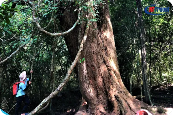 Sợi Dây Thừng Huyền Thoại