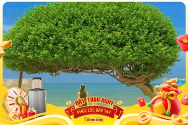 Tour Tết 2026 - Tour Phú Quý 3 Ngày 2 Đêm