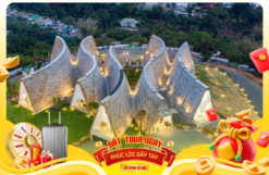 Tour Tết 2026 - Tour Tây Nguyên 3 Ngày 3 Đêm Xe Limousine - Ngắm Hoa Anh Đào - Khám Phá Măng Đen - Pleiku - Buôn Ma Thuột - Tà Đùng