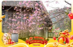 Tour Tết 2026 - Tour Tây Nguyên 4 Ngày 4 Đêm Xe Limousine - Chinh Phục Ngã Ba Đông Dương - Săn Hoa Anh Đào