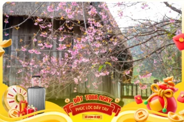 Tour Tết 2026 - Tour Tây Nguyên 4 Ngày 4 Đêm Xe Limousine - Chinh Phục Ngã Ba Đông Dương - Săn Hoa Anh Đào