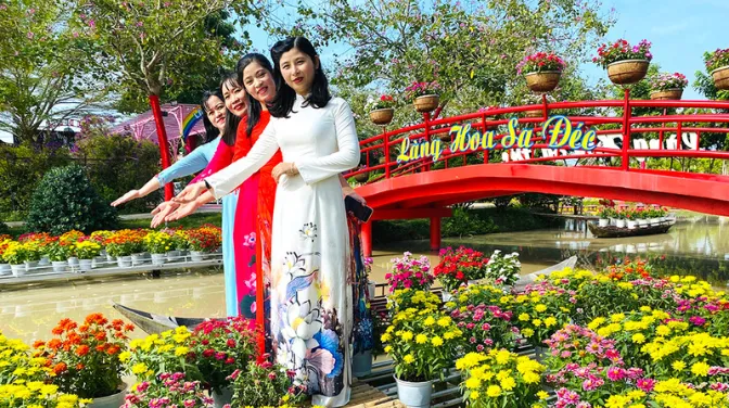 Làng Hoa Sa Đéc Dịp Tết 2026: Hoa Đã Nở Rộ Chưa? Kinh Nghiệm Đi "Săn" Ảnh Đẹp