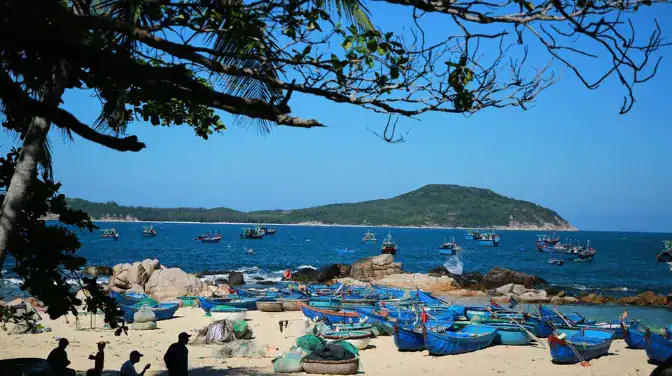 24h Làm Robinson Tại Cù Lao Mái Nhà: Kinh Nghiệm Sinh Tồn & Tách Biệt Thế Giới