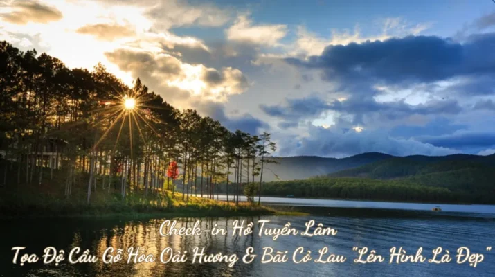Check-in Hồ Tuyền Lâm Tọa Độ Cầu Gỗ Hoa Oải Hương & Bãi Cỏ Lau "Lên Hình Là Đẹp"