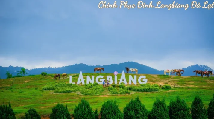 Chinh Phục Đỉnh Núi Langbiang Đà Lạt