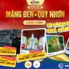 Tour Măng Đen Quy Nhơn 4 Ngày 4 Đêm Lễ 30/4