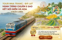 Tour Nha Trang Đà Lạt 5 Ngày 4 Đêm Tàu Lửa 5 Sao