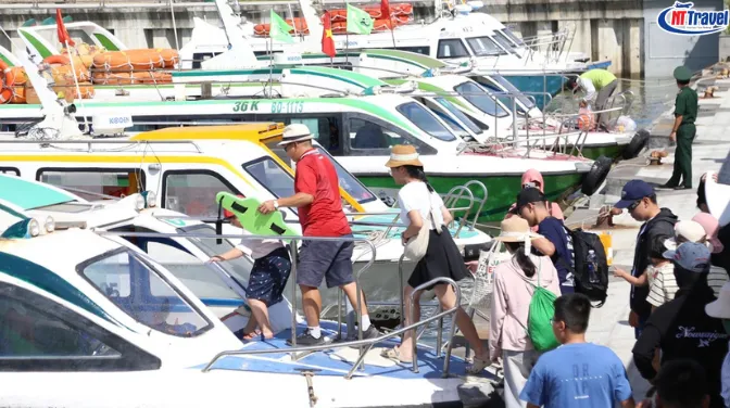 Cách Đi Cù Lao Xanh Từ Quy Nhơn Chi Tiết Nhất – So Sánh Cano, Tàu Gỗ Và Tour Trọn Gói